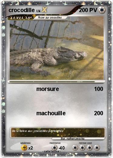 Pokemon crocodille