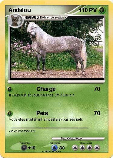 Pokemon Andalou