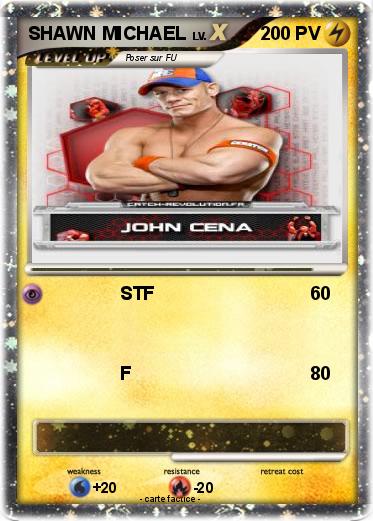 Pokemon SHAWN MICHAEL