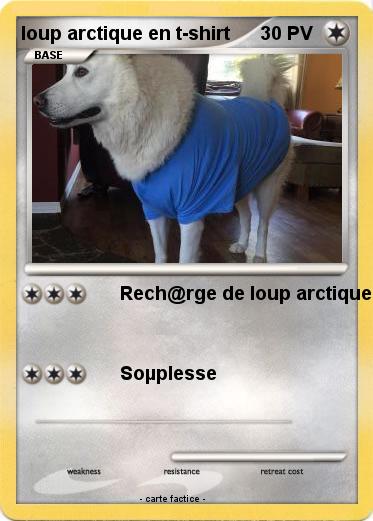 Pokemon loup arctique en t-shirt