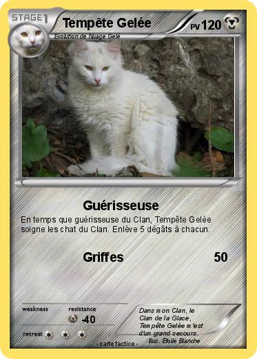 Pokemon Tempête Gelée