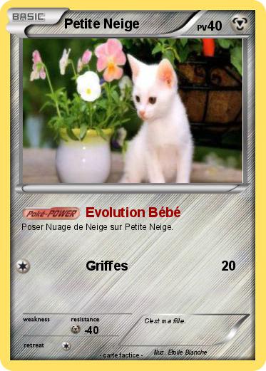 Pokemon Petite Neige