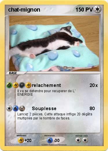 Pokemon chat-mignon