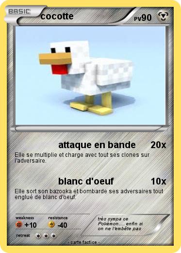 Pokemon cocotte