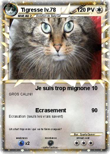 Pokemon Tigresse lv.78