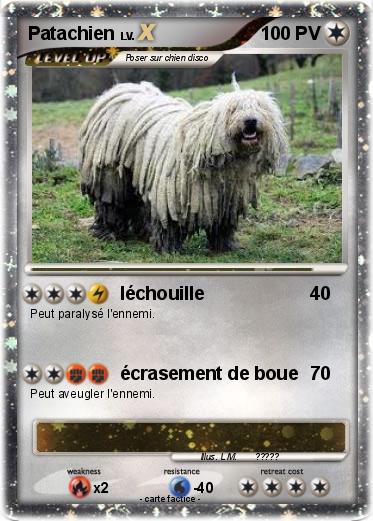 Pokemon Patachien