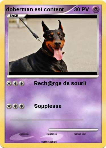 Pokemon doberman est content