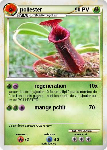 Pokemon pollester