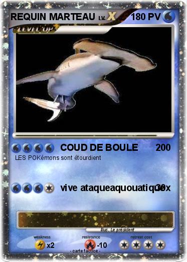 Pokemon REQUIN MARTEAU