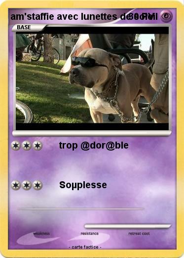 Pokemon am'staffie avec lunettes de soleil