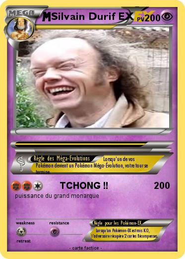 Pokemon Silvain Durif EX