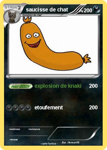 Pokemon saucisse de chat