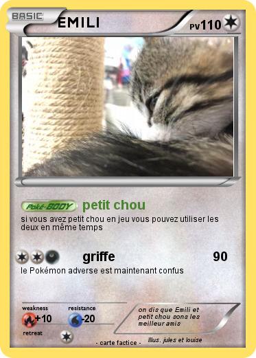 Pokemon EMILI