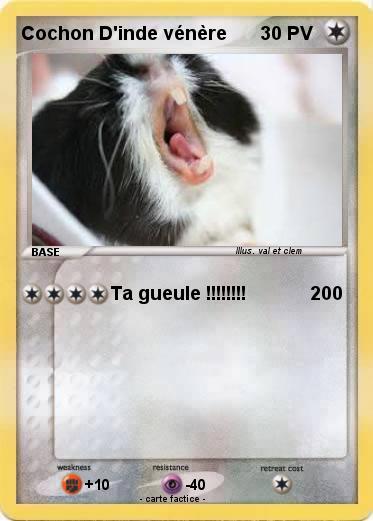 Pokemon Cochon D'inde vénère