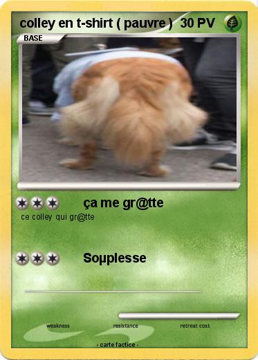 Pokemon colley en t-shirt ( pauvre )