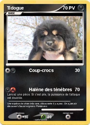 Pokemon Tidogue