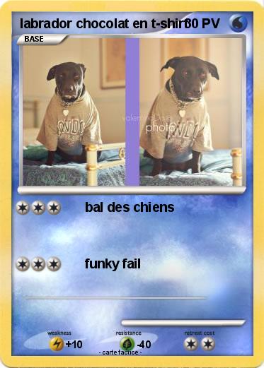 Pokemon labrador chocolat en t-shirt