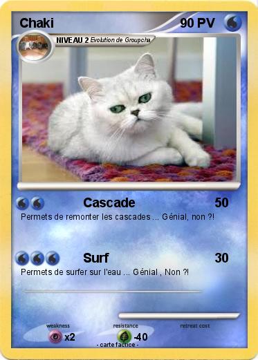 Pokemon Chaki