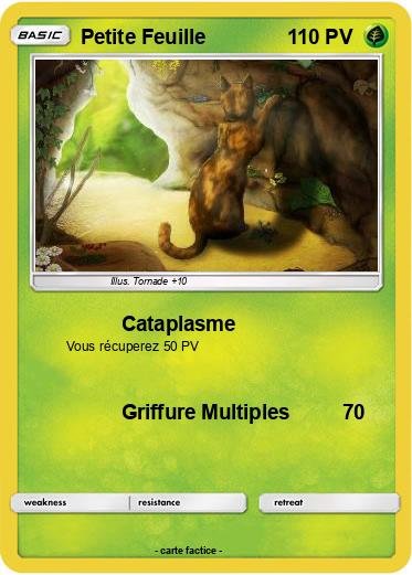 Pokemon Petite Feuille