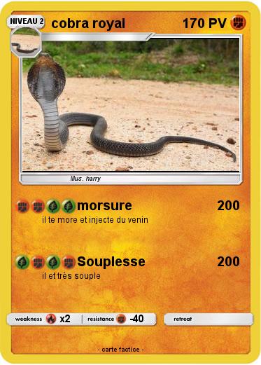 Pokemon cobra royal