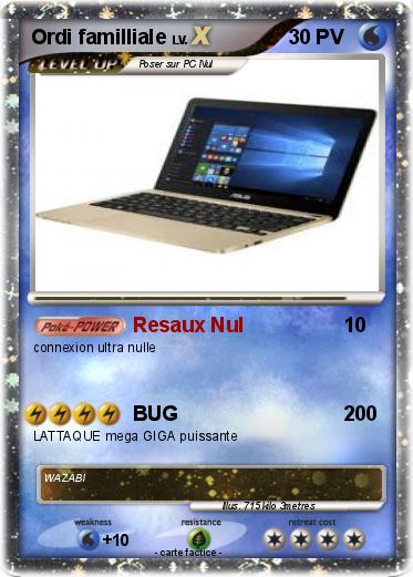 Pokemon Ordi familliale