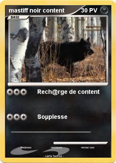 Pokemon mastiff noir content