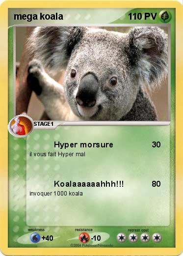 Pokemon mega koala 