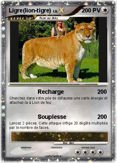 Pokemon Ligre(lion-tigre)