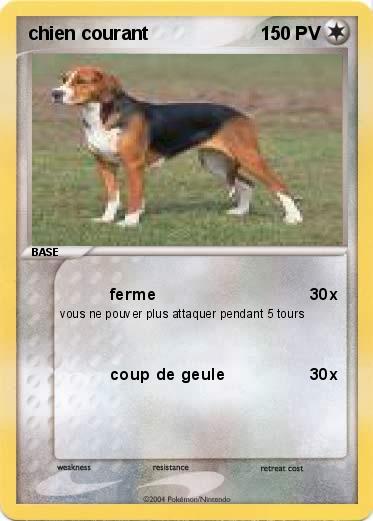 Pokemon chien courant