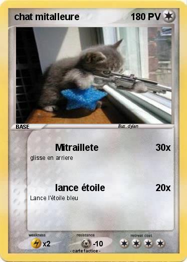 Pokemon chat mitalleure