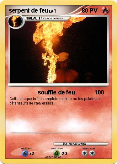 Pokemon serpent de feu