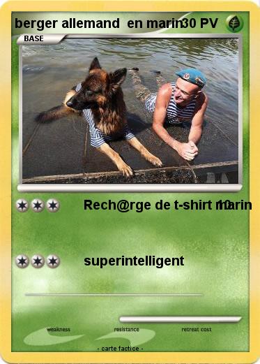 Pokemon berger allemand  en marin