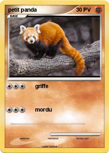 Pokemon petit panda