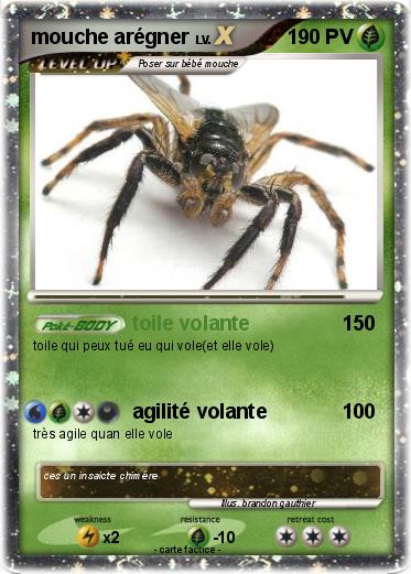 Pokemon mouche arégner