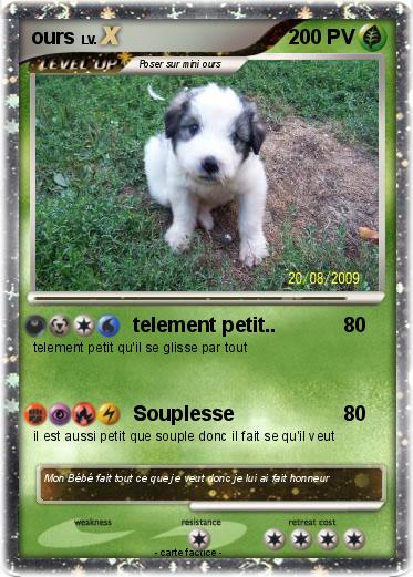 Pokemon ours