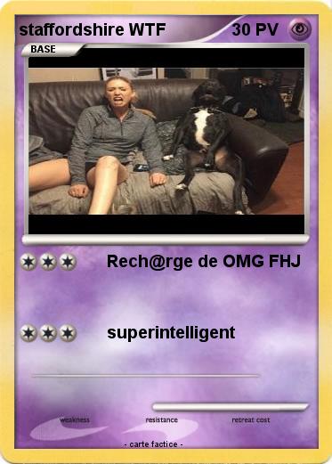 Pokemon staffordshire WTF