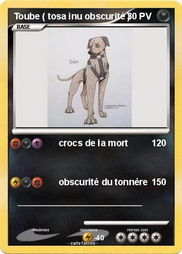 Pokemon Toube ( tosa inu obscurité )