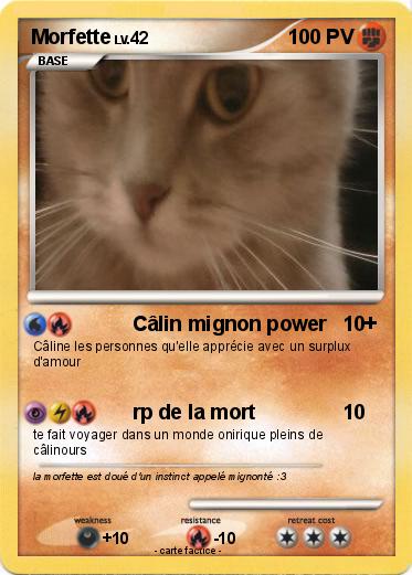 Pokemon Morfette