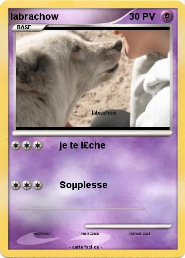 Pokemon labrachow