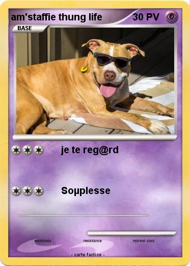 Pokemon am'staffie thung life