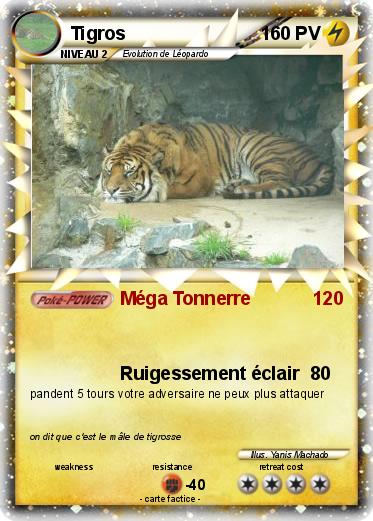 Pokemon Tigros