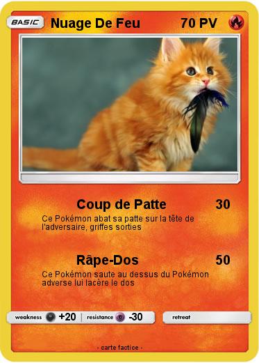 Pokemon Nuage De Feu