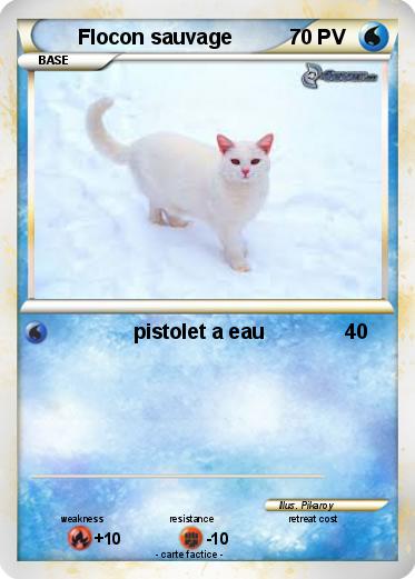 Pokemon Flocon sauvage