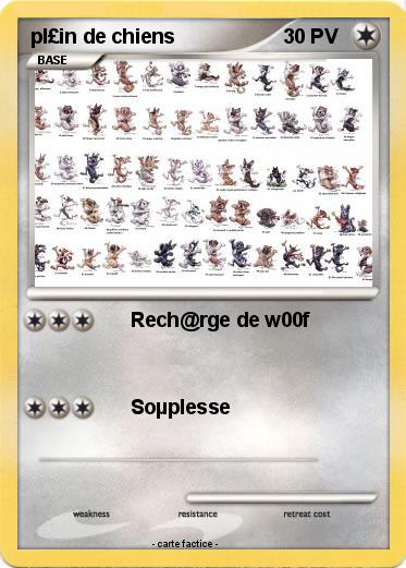 Pokemon pl£in de chiens