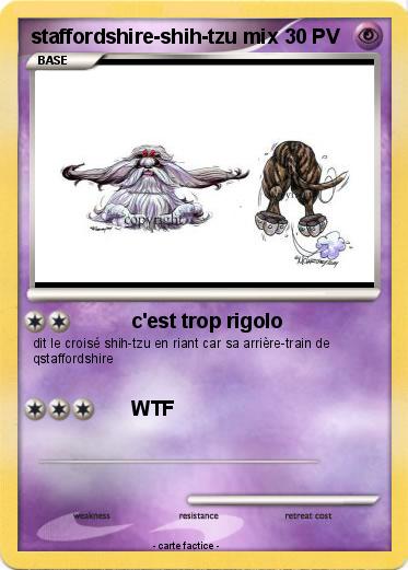 Pokemon staffordshire-shih-tzu mix