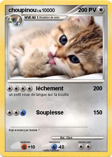 Pokemon choupinou
