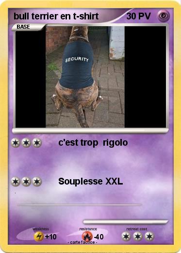 Pokemon bull terrier en t-shirt