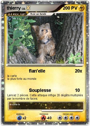 Pokemon thierry