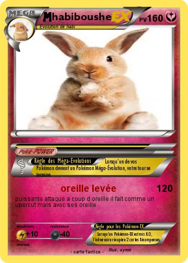 Pokemon habiboushe
