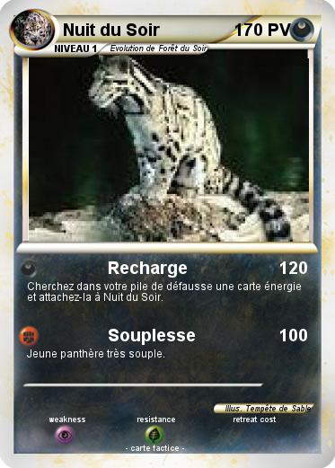Pokemon Nuit du Soir